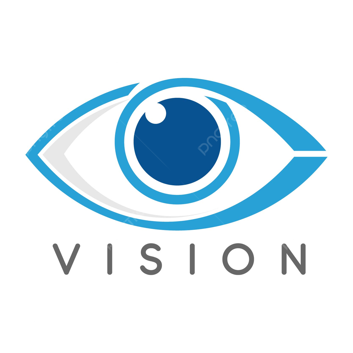 Vision Icon